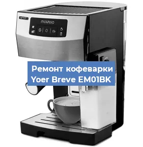 Замена счетчика воды (счетчика чашек, порций) на кофемашине Yoer Breve EM01BK в Ижевске